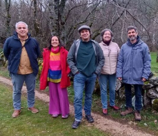 15M: Los candidatos de Podemos-Alianza Verde por Segovia