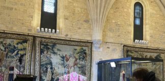 Catedral de Segovia Google Arts