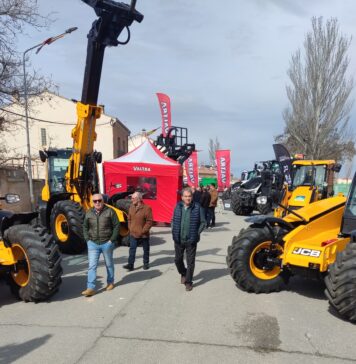 Feria del Ángel y Feria del Caballo de Fuentepelayo