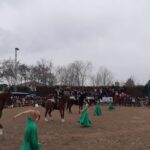 Feria del Ángel y Feria del Caballo de Fuentepelayo