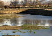 Inundaciones futuro campo de fútbol