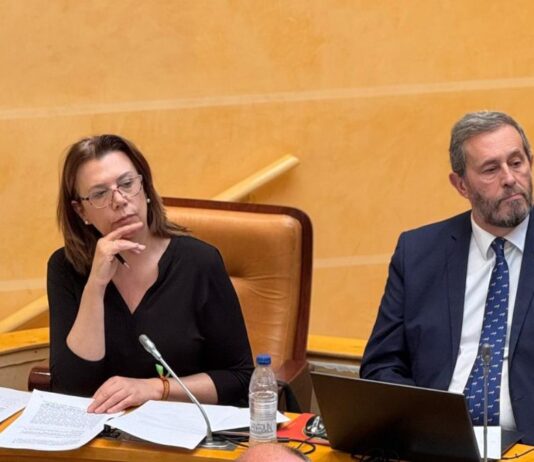 El Pleno aprueba una moción de Vox para regular el acceso con burka o niqab a edificios municipales NP VOX