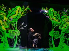 'Andersen, el patito feo' Títeres Etcétera