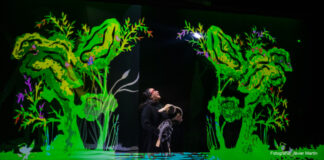 La historia de Andersen a través del ‘Patito Feo’ y los títeres 'Andersen, el patito feo' Títeres Etcétera