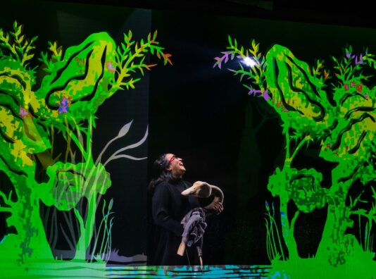 'Andersen, el patito feo' Títeres Etcétera