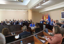 Pleno de la Diputación de marzo