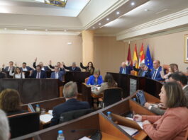 Pleno de la Diputación de marzo