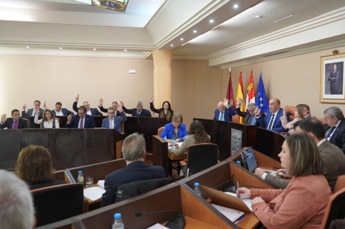 Pleno de la Diputación de marzo