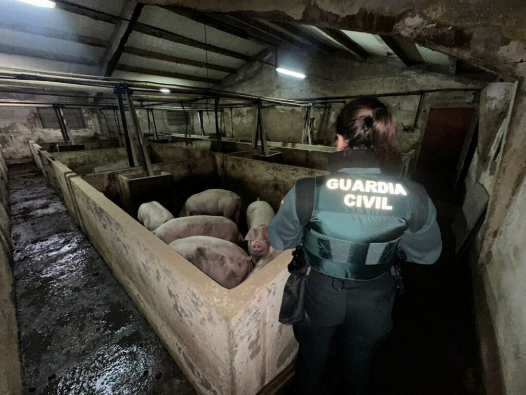 Animales rescatados en Aldea Real