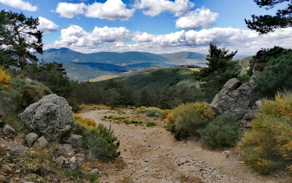 De paseo por la Sierra de Guadarrama