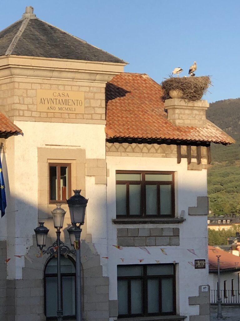 pueblo de las cigüeñas segoviano