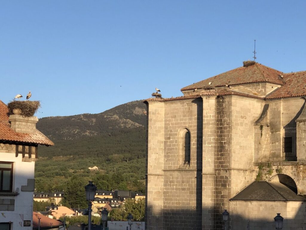 pueblo de las cigüeñas segoviano