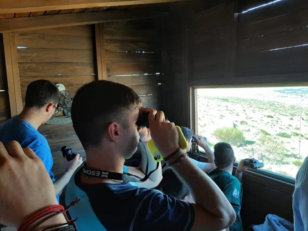 'Mirador de los Buitres' en la provincia de Segovia