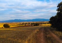 Silvia Clemente propone un plan de 300 millones para “blindar” el campo frente a Mercosur