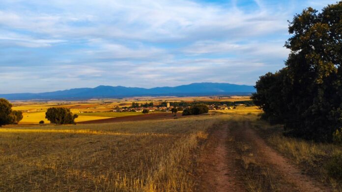 Campo a las afueras de Cedillo de la Torre Img Segoviaudaz