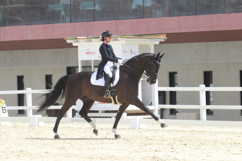 Competición hípica