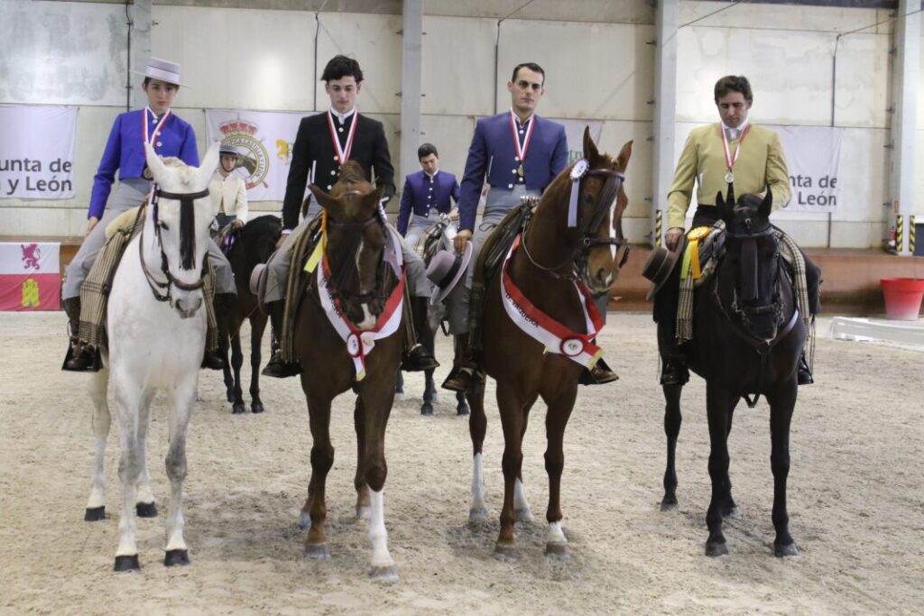 Competiciones hípica