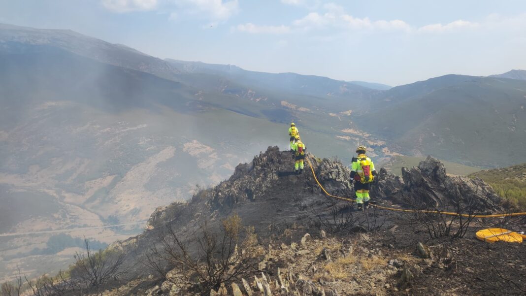 1,24 millones para una nueva cuadrilla forestal permanente para la comarca de <h3 class='enlacePalabraNoticia' onclick='opcionBuscarActualidad('Riaza','')' >Riaza</h3>