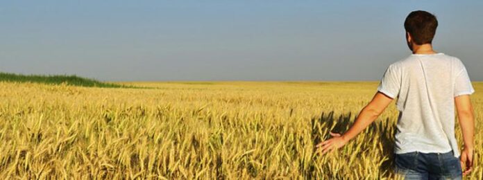 Relevo generacional campo