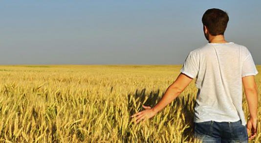 La falta de relevo generacional en el campo, un problema económico y no vocacional Relevo generacional campo