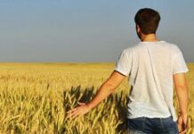 Relevo generacional campo