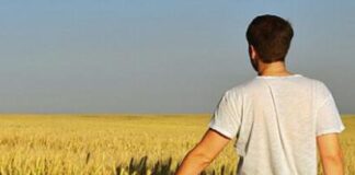 La falta de relevo generacional en el campo, un problema económico y no vocacional Relevo generacional campo