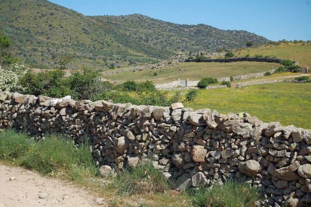 Ocho rutas a pie por la Cañada Real