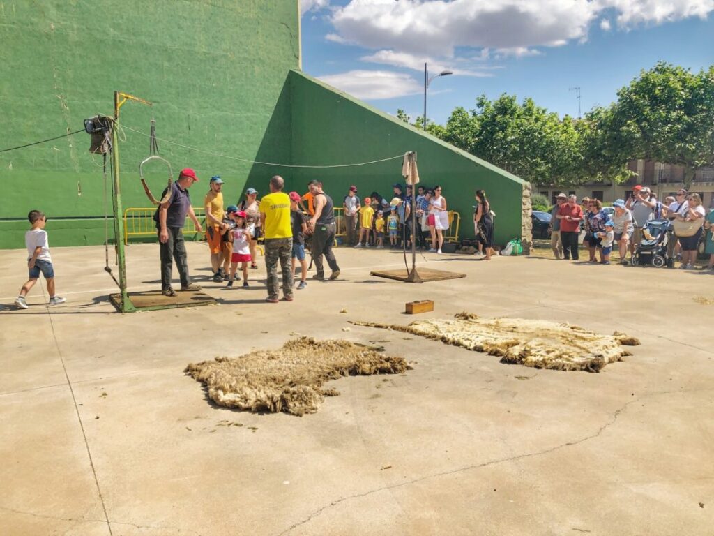 esquileo en un pueblo de Segovia