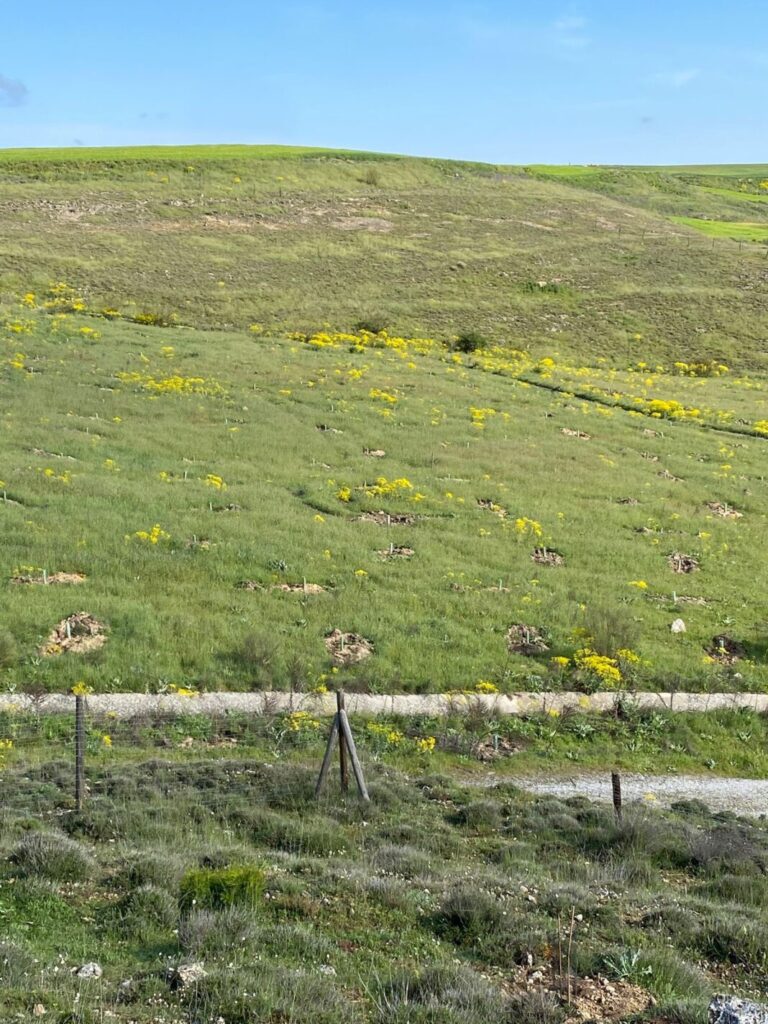 antiguo vertedero de Segovia