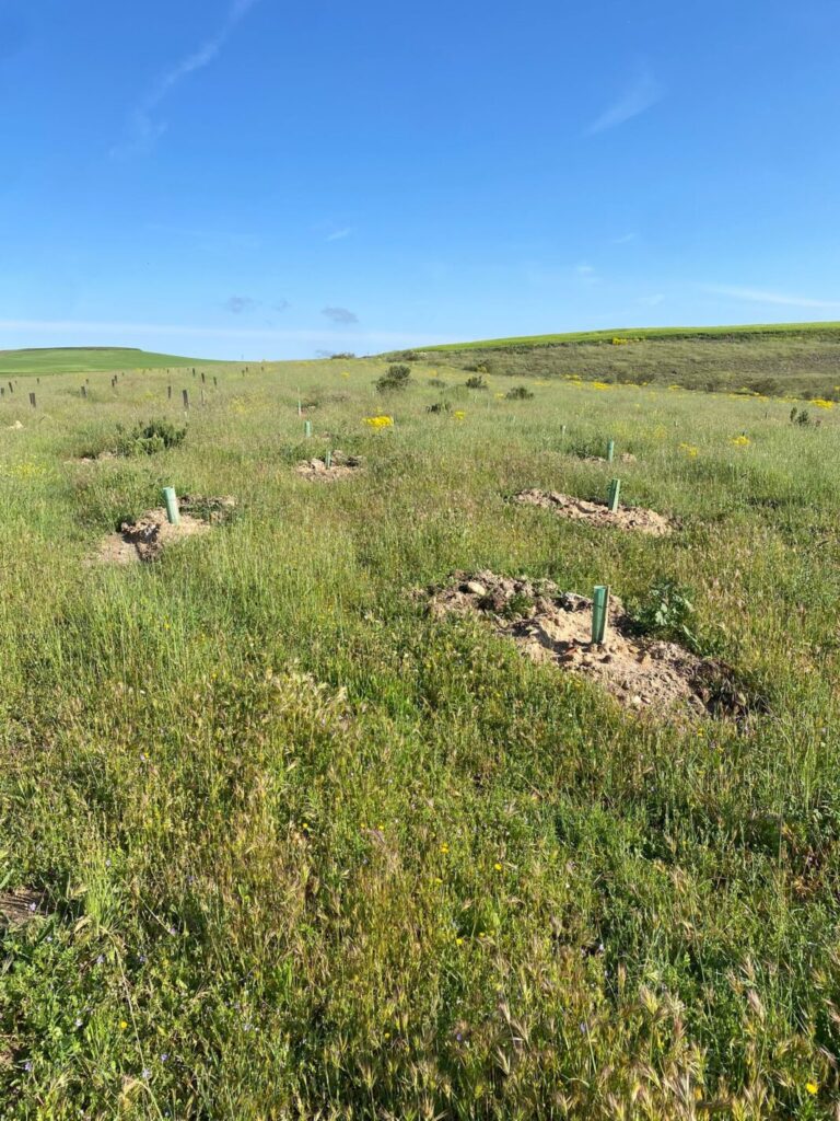 antiguo vertedero de Segovia