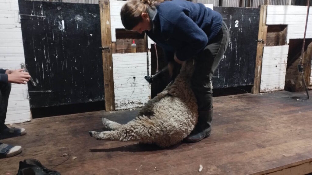 Aquí están las Antípodas de Segovia