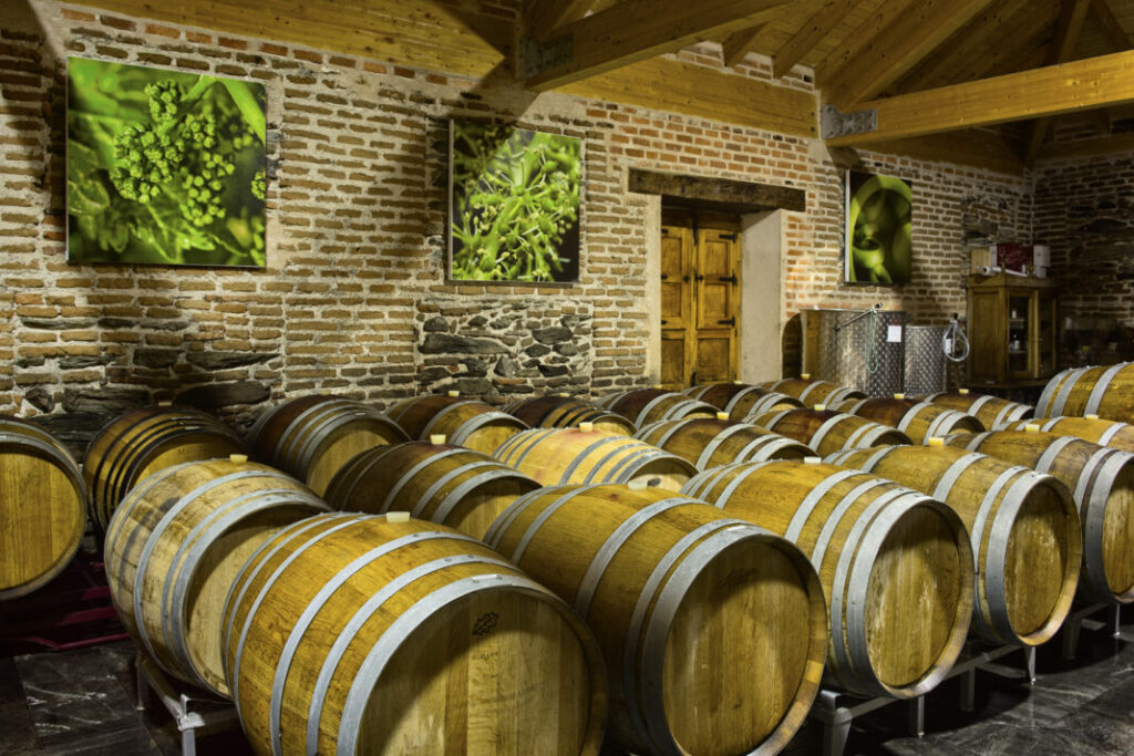 Nieva acogerá “Saturnalia”