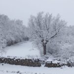 260117 Nieve en La Salceda
