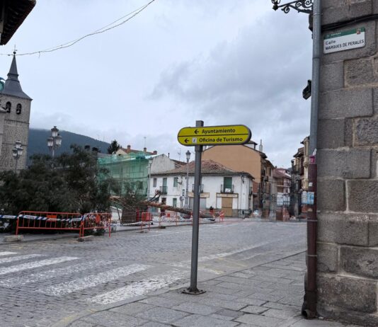El «Pino Gabarrero» ya está listo para un fin de semana de música, gastronomía y tradición en El Espinar