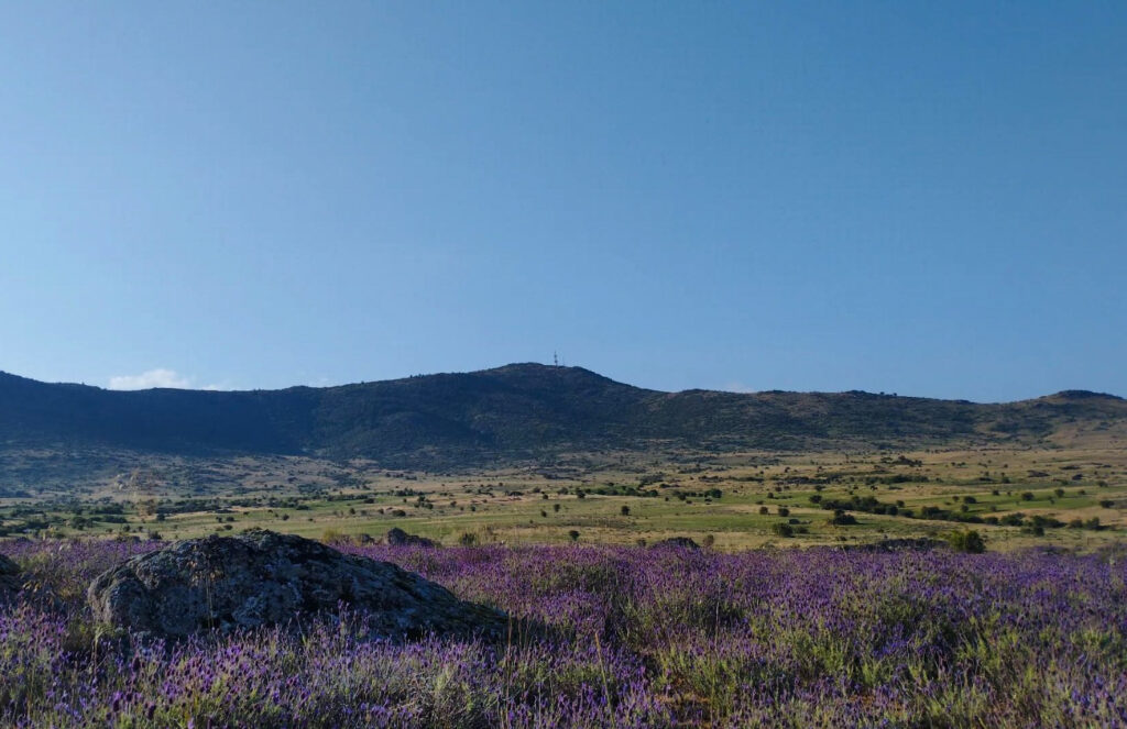Rutas Sierra de Guadarrama