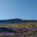Rutas Sierra de Guadarrama