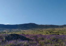 Rutas Sierra de Guadarrama