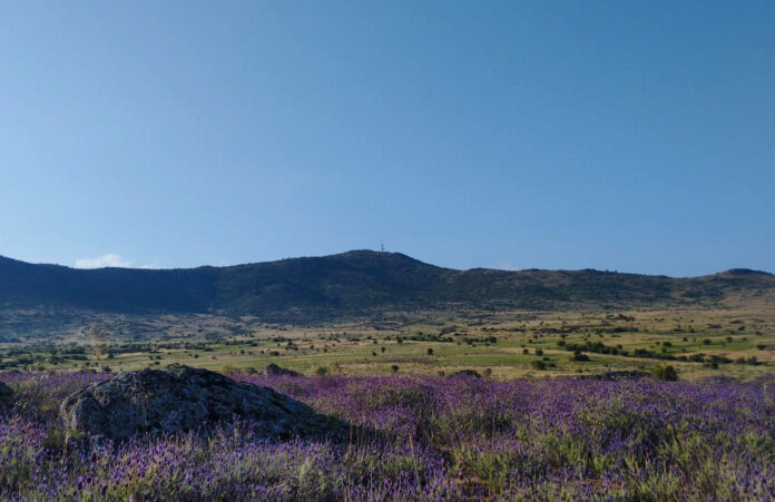 Rutas Sierra de Guadarrama