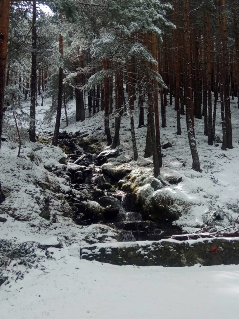 Rutas por la naturaleza de Fundación Caja Rural de Segovia