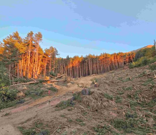 El TSJCyL anula un proyecto para construir diez viviendas en La Pinilla