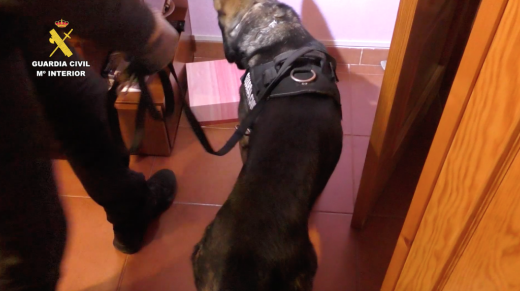 Operación antidroga en este pueblo de Segovia 