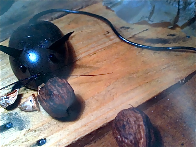 Zooplastic, el arte de reutilizar materiales - Noticias y actualidad de ...