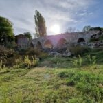 Estas son las bases de la VIII edición de Tiempo de Poesía Convocatoria VIII edición de Tiempo de Poesía