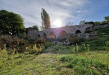 Estas son las bases de la VIII edición de Tiempo de Poesía Convocatoria VIII edición de Tiempo de Poesía