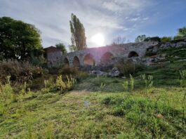 Estas son las bases de la VIII edición de Tiempo de Poesía Convocatoria VIII edición de Tiempo de Poesía