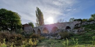 Convocatoria VIII edición de Tiempo de Poesía