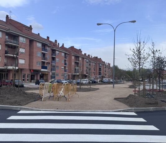 Ciudadanos pide explicaciones por las obras de renaturalización de Nueva Segovia