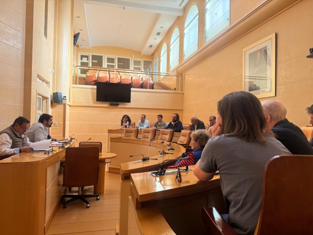 Reunión asociaciones peñas con Ayuntamiento de Segovia para Ferias y Fiestas 2026