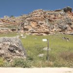 Talleres de la Ruta del vino de Ribera del Duero en el Parque Natural Hoces del Río Riaza
