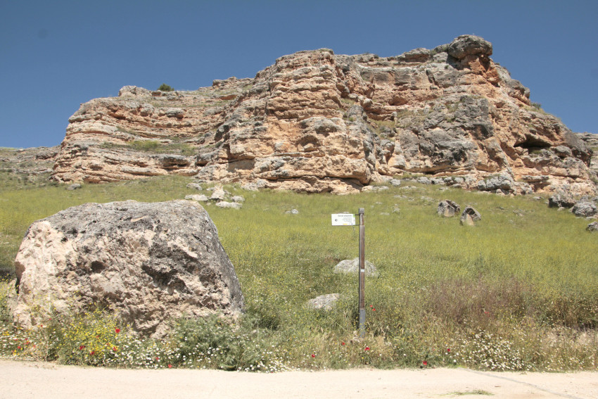 Talleres de la Ruta del vino de Ribera del Duero en el Parque Natural Hoces del Río Riaza